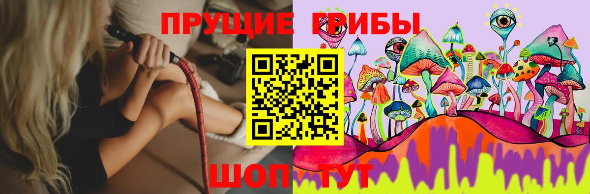 Псилоцибиновые грибы MAGIC MUSHROOMS  Галлюциногенные грибы ЛСД  Чехов  Вход с VPN 